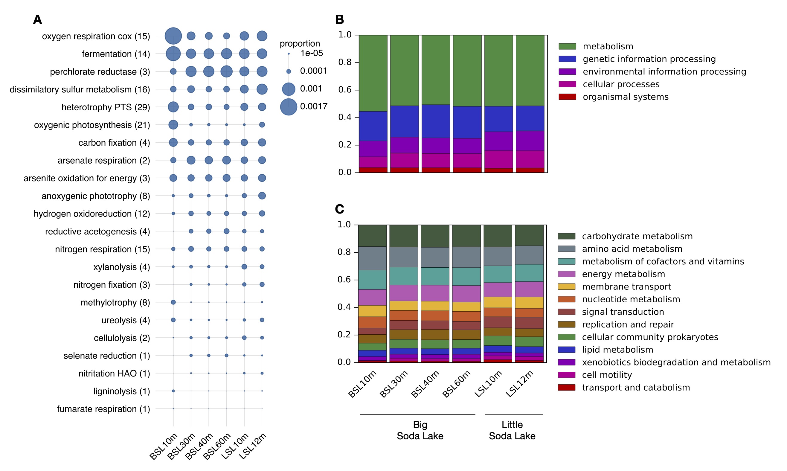 Metagenomic functional profiles